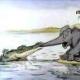 «Слоненок и другие сказки» — Редьярд Киплинг