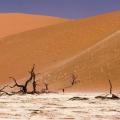 Zona prirodne pustinje: karakteristike, opis i klima
