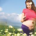 Sedmi mesec nosečnosti: razvoj ploda, pregledi in druge značilnosti. Nosečnost v 7. mesecu razvoja