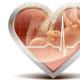 Koje su norme otkucaja srca fetusa po tjednu, kada možete čuti Zašto je srčani ritam poremećen