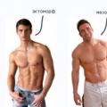 Съотношение на теглото и растежа при мъжете: Как да разберете идеалното си тегло?