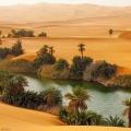 Интересно за най-голямата пустиня в света - Сахара
